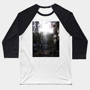 Forest Sun Rays in the Snow #64 Baseball T-Shirt